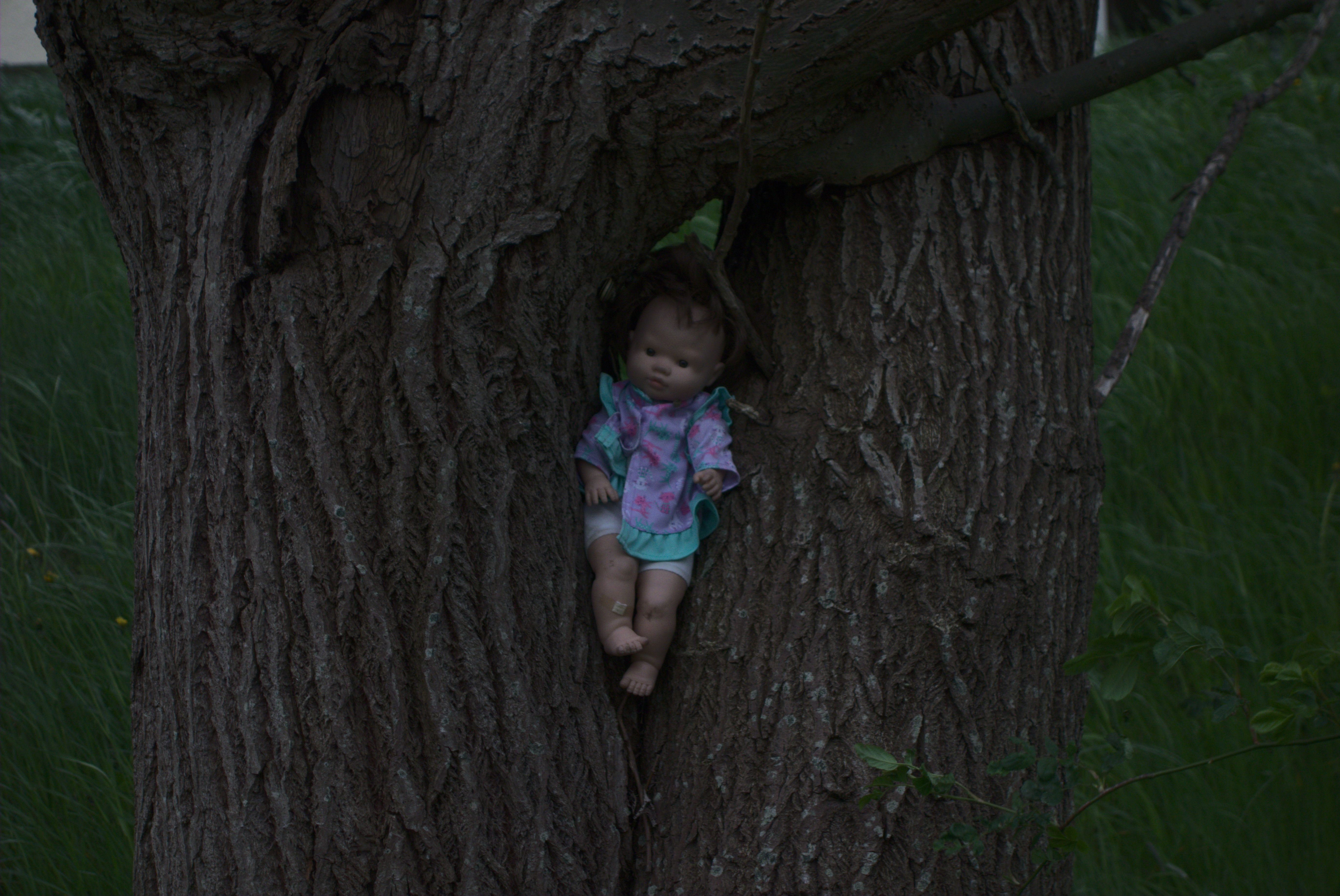 baby doll in tree